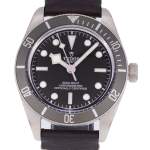 Montre d'occasion TUDOR Black Bay Fifty-Eight Argent homme mouvement automatique certifié (cosc) bracelet cuir d'origine - vue D1