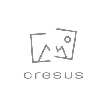 Montre d'occasion ROLEX DateJust 36 homme mouvement automatique certifié (cosc) bracelet or jaune 750/000 et acier