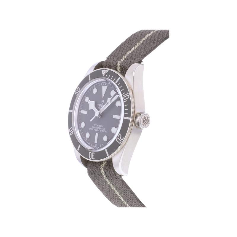 Montre d'occasion TUDOR Black Bay 58 homme mouvement automatique certifié (cosc) bracelet nato - vue D2